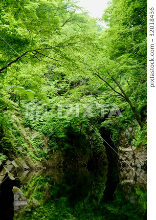 Miyake Valley Miyake Valley 32018436