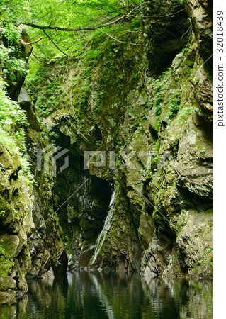 Miyake Valley 32018439