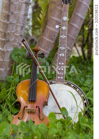 Violin with banjo, bluesgrass musical instrument P Violin with banjo, bluesgrass musical instrument P 32019613