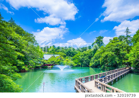 東京Inokashira公園風景 32019739