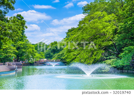 Scenery of Tokyo Inokashira Park 32019740