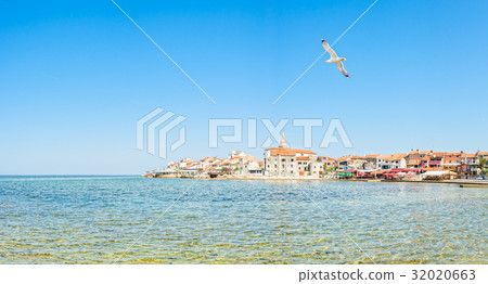 Adriatic coast in Umag Croatia 32020663