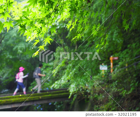 高雄登山出發點 32021195
