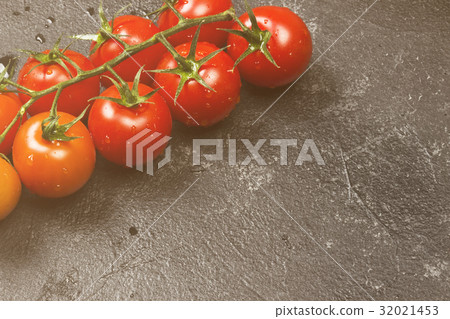 Cherry tomatoes on a branch on a dark background 32021453
