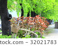 行道樹 32021783