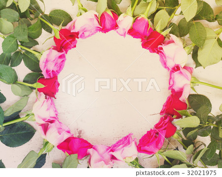 Pink fresh roses Pink fresh roses 32021975