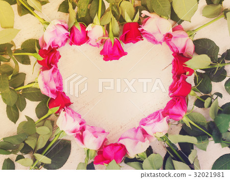 Pink fresh roses 32021981