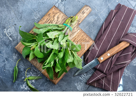 fresh sage 32022721