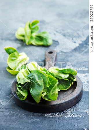 fresh bock choi 32022722