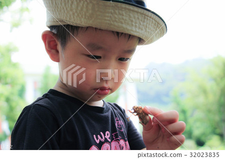 Mandarin, Mandarin small man 32023835