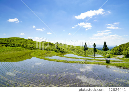 Fan rice terrace Fan rice terrace 32024441