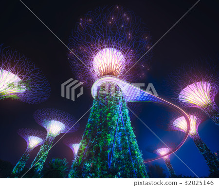 The Supertree in Singapore The Supertree in Singapore 32025146