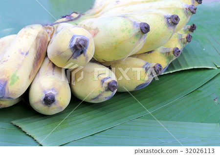 organic bananas on banana leaf at the farm. organic bananas on banana leaf at the farm. 32026113