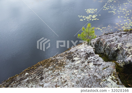 Ladoga lake coast, natural landscape Ladoga lake coast, natural landscape 32028166