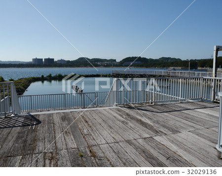 Yokohama Hakkeijima 32029136