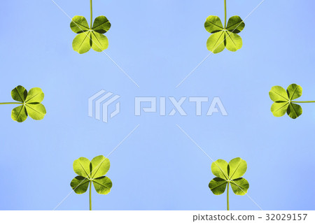 四葉草（合成） 32029157