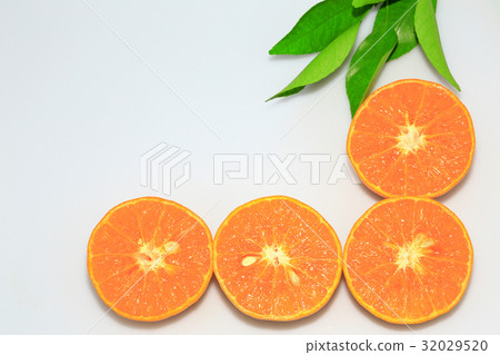 Orange mandarin, tangerine fruits white background Orange mandarin, tangerine fruits white background 32029520