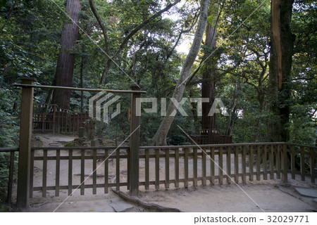 Yaigaki Shrine（松江市） 32029771