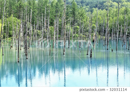Platinum Blue Pond (Hokkaido · Biei) 32031114
