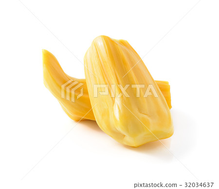 jackfruit isolated on white background 32034637