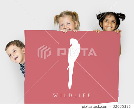 Animal Wildlife Word with Parrot Graphic Animal Wildlife Word with Parrot Graphic 32035355