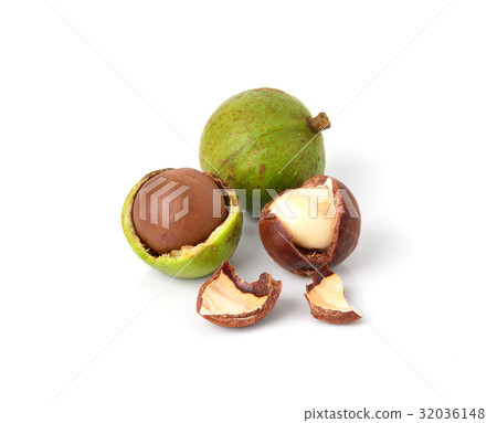 macadamia nuts on white background 32036148