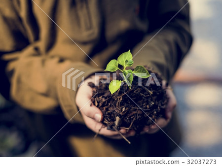 Hand holding sprout for growing nature 32037273
