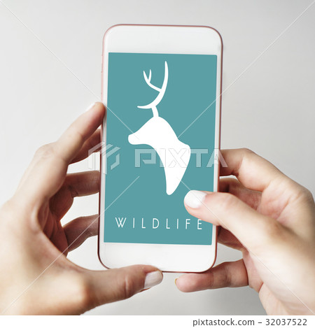 Green deer wildlife graphic illustration Green deer wildlife graphic illustration 32037522
