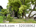 雲龍神社(愛知縣名古屋市)的樟樹 雲龍神社(愛知縣名古屋市)的樟樹 32038062