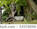 雲龍神社(愛知縣名古屋市)的樟樹 雲龍神社(愛知縣名古屋市)的樟樹 32038066
