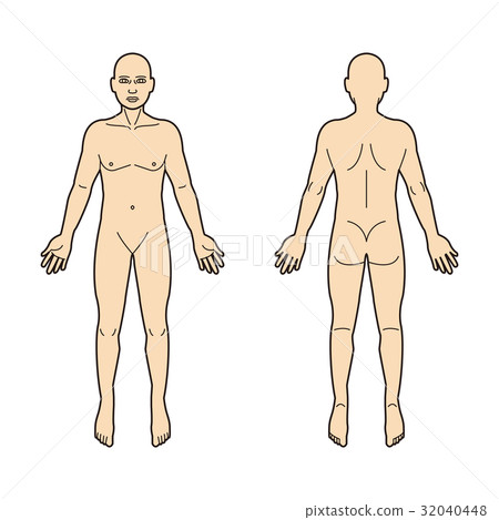 Human body 32040448
