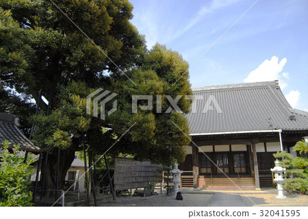 Sadajii of Kagurazaki (Kariya city, Aichi prefecture) 32041595