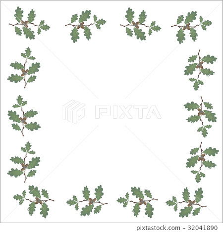 Green branches of oak with acorns in the form of a 32041890