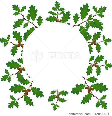 Green branches of an oak with acorns on a circle 32041891