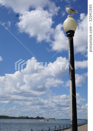 Sea and seagulls 32041895