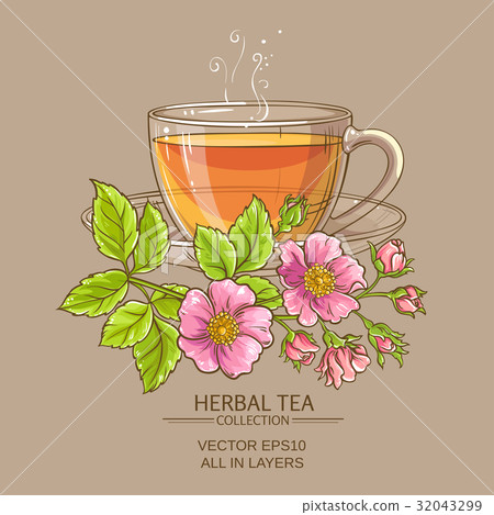 cup of dog rose tea cup of dog rose tea 32043299