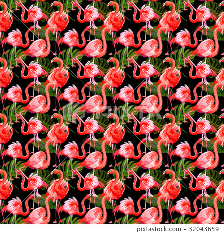Sky bird flamingo pattern in a wildlife by 32043659