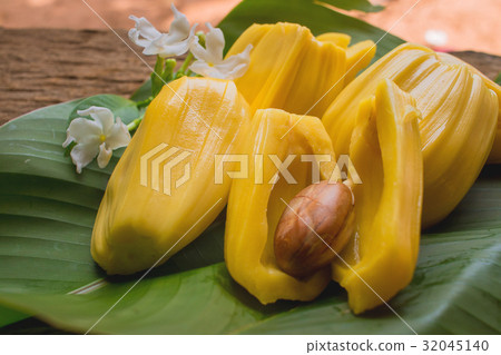 ripe Jackfruit and seed 32045140