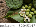 Freshness Lotus seed and pod on green leaf  32045147