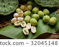 Freshness Lotus seed and pod on green leaf  32045148