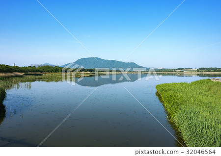 [新潟市新潟縣] Sakata在拉夫爾湖會議上登記在沙丘湖飛翔的水禽 32046564