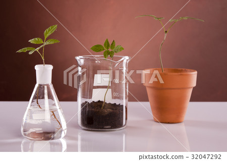 Ecologic laboratory 32047292
