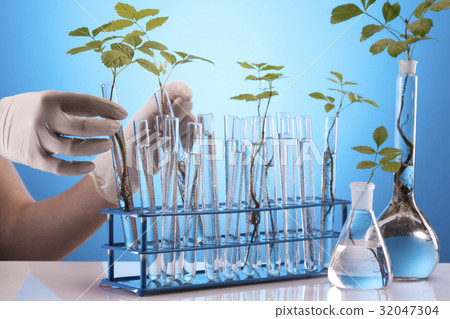 Ecologic laboratory Ecologic laboratory 32047304