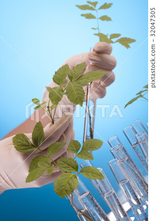 Ecologic laboratory Ecologic laboratory 32047305