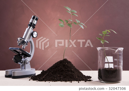 Ecologic laboratory Ecologic laboratory 32047306
