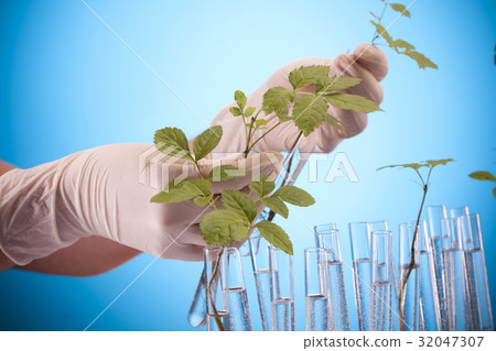 Ecologic laboratory 32047307