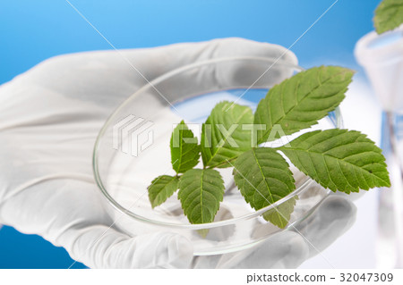 Ecologic laboratory 32047309