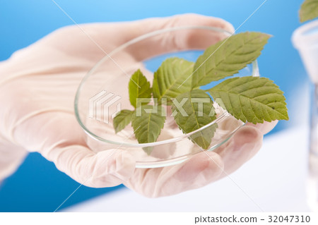 Ecologic laboratory Ecologic laboratory 32047310