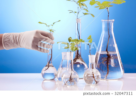 Ecologic laboratory Ecologic laboratory 32047311