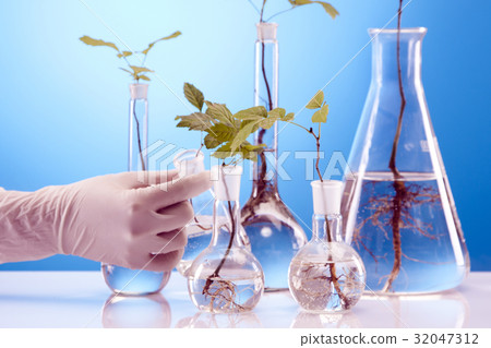 Ecologic laboratory 32047312